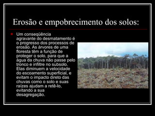   Erosão e empobrecimento dos solos:  Um conseqüência agravante do desmatamento é o progresso dos processos de erosão. As árvores de uma floresta têm a função de proteger o solo, para que a água da chuva não passe pelo tronco e infiltre no subsolo. Elas diminuem a velocidade do escoamento superficial, e evitam o impacto direto das chuvas como o solo e suas raízes ajudam a retê-lo, evitando a sua desagregação.   