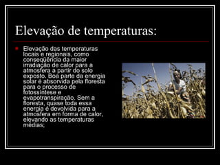 Elevação de temperaturas: Elevação das temperaturas locais e regionais, como conseqüência da maior irradiação de calor para a atmosfera a partir do solo exposto. Boa parte da energia solar é absorvida pela floresta para o processo de fotossíntese e evapotranspiração. Sem a floresta, quase toda essa energia é devolvida para a atmosfera em forma de calor, elevando as temperaturas médias;  