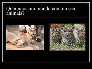 Queremos um mundo com ou sem animais? 
