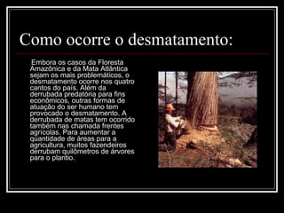 Como ocorre o desmatamento: Embora os casos da Floresta Amazônica e da Mata Atlântica sejam os mais problemáticos, o desmatamento ocorre nos quatro cantos do país. Além da derrubada predatória para fins econômicos, outras formas de atuação do ser humano tem provocado o desmatamento. A derrubada de matas tem ocorrido também nas chamada frentes agrícolas. Para aumentar a quantidade de áreas para a agricultura, muitos fazendeiros derrubam quilômetros de árvores para o plantio.  