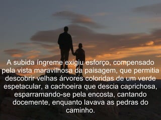 A subida íngreme exigiu esforço, compensado
pela vista maravilhosa da paisagem, que permitia
 descobrir velhas árvores coloridas de um verde
espetacular, a cachoeira que descia caprichosa,
    esparramando-se pela encosta, cantando
   docemente, enquanto lavava as pedras do
                    caminho.
 