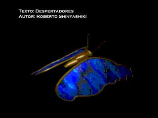 Texto: Despertadores Autor: Roberto Shinyashiki 