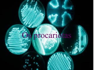 Os procariotas
 