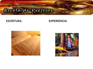 ESCRITURA EXPERIENCIA
 