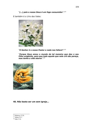 458
“(...) pois o nosso Deus é um fogo consumidor”.424
E também é o Lírio dos Vales:
”O Senhor é o nosso Pastor e nada nos faltará”.425
“Porque Deus amou o mundo de tal maneira que deu o seu
Filho unigênito, para que todo aquele que nele crê não pereça,
mas tenha a vida eterna”.426
40. Não basta ser um sem igreja...
424
Hebreus 12:29.
425
Salmo 23:1.
426
João 3:16.
 