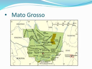 • Mato Grosso
 