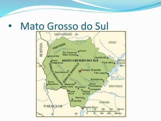 • Mato Grosso do Sul
 