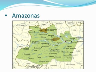 • Amazonas
 