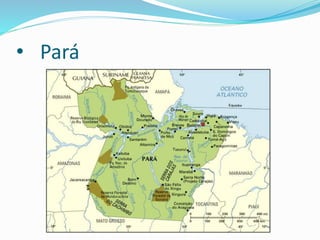 • Pará
 
