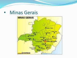 • Minas Gerais
 