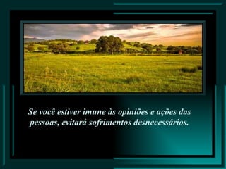 Se você estiver imune às opiniões e ações das pessoas, evitará sofrimentos desnecessários. 