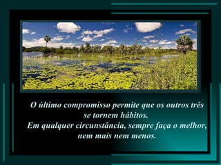 O último compromisso permite que os outros três  se tornem hábitos.   Em qualquer circunstância, sempre faça o melhor,  nem mais nem menos.  