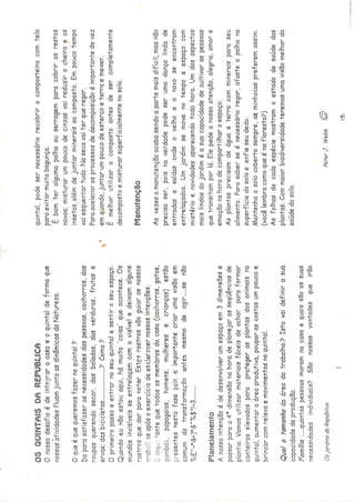 Os quintais da rebublica