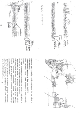 Os quintais da rebublica