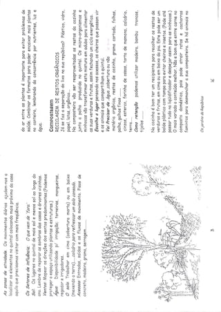 Os quintais da rebublica