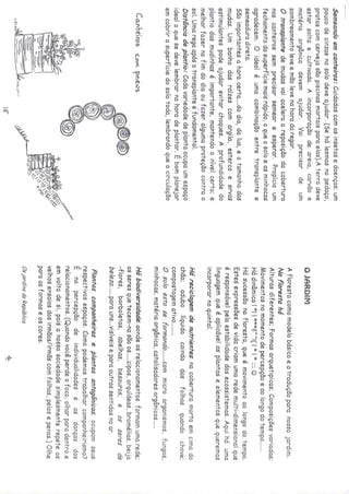 Os quintais da rebublica