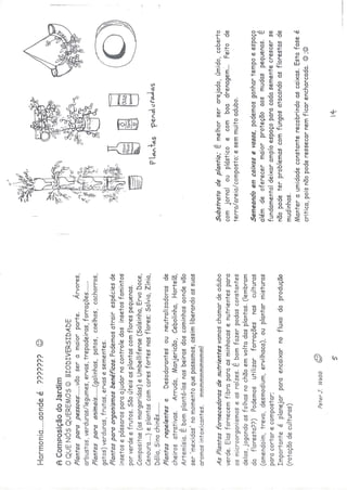 Os quintais da rebublica