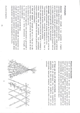 Os quintais da rebublica