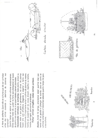Os quintais da rebublica