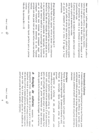 Os quintais da rebublica