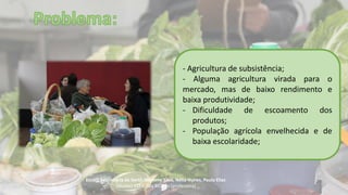 Escola Secundária da Sertã: Marlene Silva, Nélia Nunes, Paula Elias
(alunos) 11º C Ilda Bicacro (professora)
- Agricultura de subsistência;
- Alguma agricultura virada para o
mercado, mas de baixo rendimento e
baixa produtividade;
- Dificuldade de escoamento dos
produtos;
- População agrícola envelhecida e de
baixa escolaridade;
 