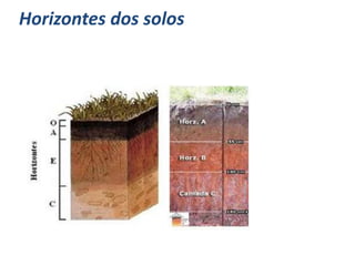 Horizontes dos solos
 