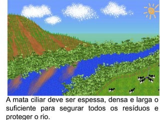 A mata ciliar deve ser espessa, densa e larga o
suficiente para segurar todos os resíduos e
proteger o rio.
 