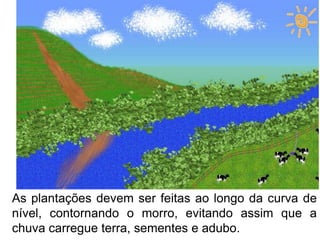 As plantações devem ser feitas ao longo da curva de
nível, contornando o morro, evitando assim que a
chuva carregue terra, sementes e adubo.
 