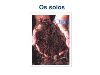 Os solos
 