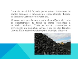 O carvão fóssil foi formado pelos restos soterrados de
plantas tropicais e subtropicais, especialmente durante
os períodos Carbonífero e Permiano.
O nosso pais revela uma grande dependência derivado
ao encerramento de todas as minas existentes a
território nacional. Todo o carvão consumido e
proveniente da Colômbia, Africa e do Sul dos Estados
Unidos. Este usado sobretudo para produção eléctrica.
 