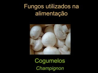 Fungos utilizados na alimentaçãoCogumelos Champignon