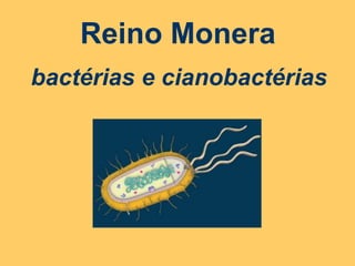 Reino Monerabactérias e cianobactérias