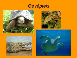 Os répteis