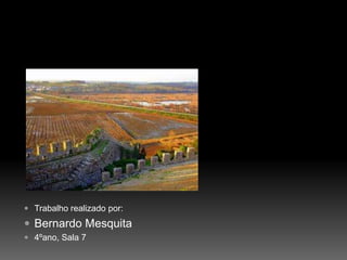 Trabalho realizado por: