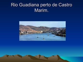 Rio Guadiana perto de Castro
          Marim.
 