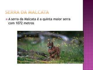 A serra da Malcata é a quinta maior serra
 com 1072 metros
 