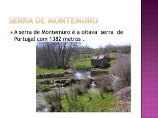 A serra de Montemuro é a oitava serra de
 Portugal com 1382 metros .
 