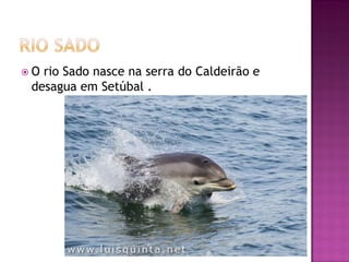 O rio Sado nasce na serra do Caldeirão e
 desagua em Setúbal .
 