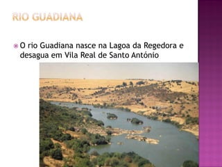 O rio Guadiana nasce na Lagoa da Regedora e
 desagua em Vila Real de Santo António
 