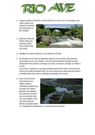 Nasce em Vieira do Minho, a cerca de 1200 m o Ave é um rio português, que
nasce na Serra da
Cabreira, concelho
de de altitude, no
Pau da Bela.



Passa por Vieira do
Minho, Póvoa de
Lanhoso, Santo
Tirso,Trofa e Vila
do Conde.


Desagua no oceano Atlântico, a sul de Vila do Conde.


No estuário do rio Ave, há lampreias, sáveis e outros peixes. Aqui abunda
muita pesca à cana. Em tempos, o rio foi muito abundante de peixe variado,
destacando-se os barbos, as enguias, as trutas, os escalos, as bogas ,os relhos e
outros.
A sua maior riqueza era a sua água límpida como branca neve e o conforto da
frescura nos dias de grande calor. Foi uma relíquia que a Natureza nos doou e
o Homem destruidor lançou a bomba da poluição que o matou.


Este rio já foi muito
importante para a
região, devido á
variedade de peixes que
nos dava aos campos
agricolas que regava e
aos momentos de lazer
que nos premitia viver
nas suas margens. Hoje
isto não é possível
devido á poluição deste
rio , atualmente considerado o rio mais poluido da Europa.
 
