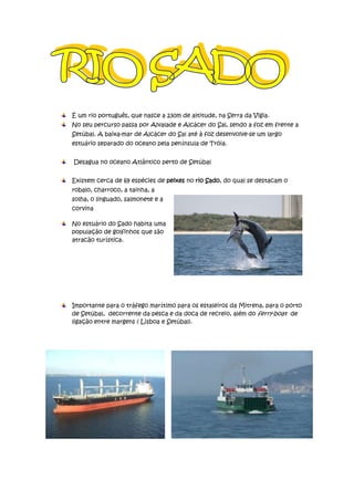 É um rio português, que nasce a 230m de altitude, na Serra da Vigia.
No seu percurso passa por Alvalade e Alcácer do Sal, sendo a foz em frente a
Setúbal. A baixa-mar de Alcácer do Sal até à foz desenvolve-se um largo
estuário separado do oceano pela península de Tróia.


Desagua no oceano Atlântico perto de Setúbal


Existem cerca de 69 espécies de peixes no rio Sado, do qual se destacam o
robalo, charroco, a tainha, a
solha, o linguado, salmonete e a
corvina

No estuário do Sado habita uma
população de golfinhos que são
atracão turística.




Importante para o tráfego marítimo para os estaleiros da Mitrena, para o porto
de Setúbal, decorrente da pesca e da doca de recreio, além do ferry-boat de
ligação entre margens ( Lisboa e Setúbal).
 