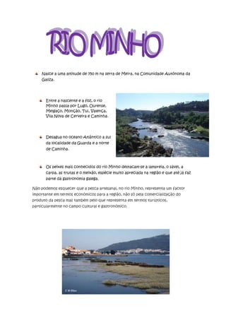 Nasce a uma altitude de 750 m na serra de Meira, na Comunidade Autónoma da
    Galiza.




       Entre a nascente e a foz, o rio
       Minho passa por Lugo, Ourense,
       Melgaço, Monção, Tui, Valença,
       Vila Nova de Cerveira e Caminha.




       Desagua no oceano Atlântico a sul
       da localidade da Guarda e a norte
       de Caminha.



       Os peixes mais conhecidos do rio Minho destacam-se a lampreia, o sável, a
       carpa, as trutas e o meixão, espécie muito apreciada na região e que até já faz
       parte da gastronomia galega.

Não podemos esquecer que a pesca artesanal, no rio Minho, representa um factor
importante em termos económicos para a região, não só pela comercialização do
produto da pesca mas também pelo que representa em termos turísticos,
particularmente no campo cultural e gastronómico.
 