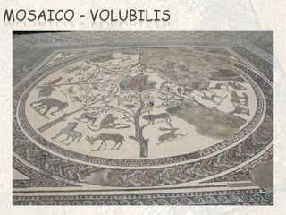 FOTOGRAFIA DE ANABELA MATIAS DE MAGALHÃES 