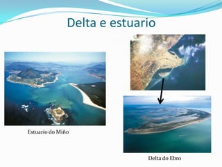 Delta e estuario




Estuario do Miño



                             Delta do Ebro
 