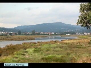 Curso baixo. Río Tines.

 