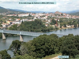 O río máis longo de Galicia é o Miño (307,5 km).

O Miño en Tui.

 