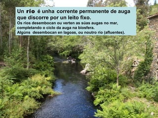 Un río é unha corrente permanente de auga
que discorre por un leito fixo.
Os ríos desembocan ou verten as súas augas no mar,
completando o ciclo da auga na biosfera.
Algúns desembocan en lagoas, ou noutro río (afluentes).

 
