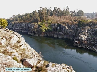 Canón do Miño. As Neves.

 