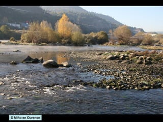 O Miño en Ourense

 