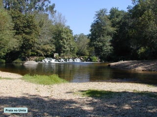 Praia no Umia

 